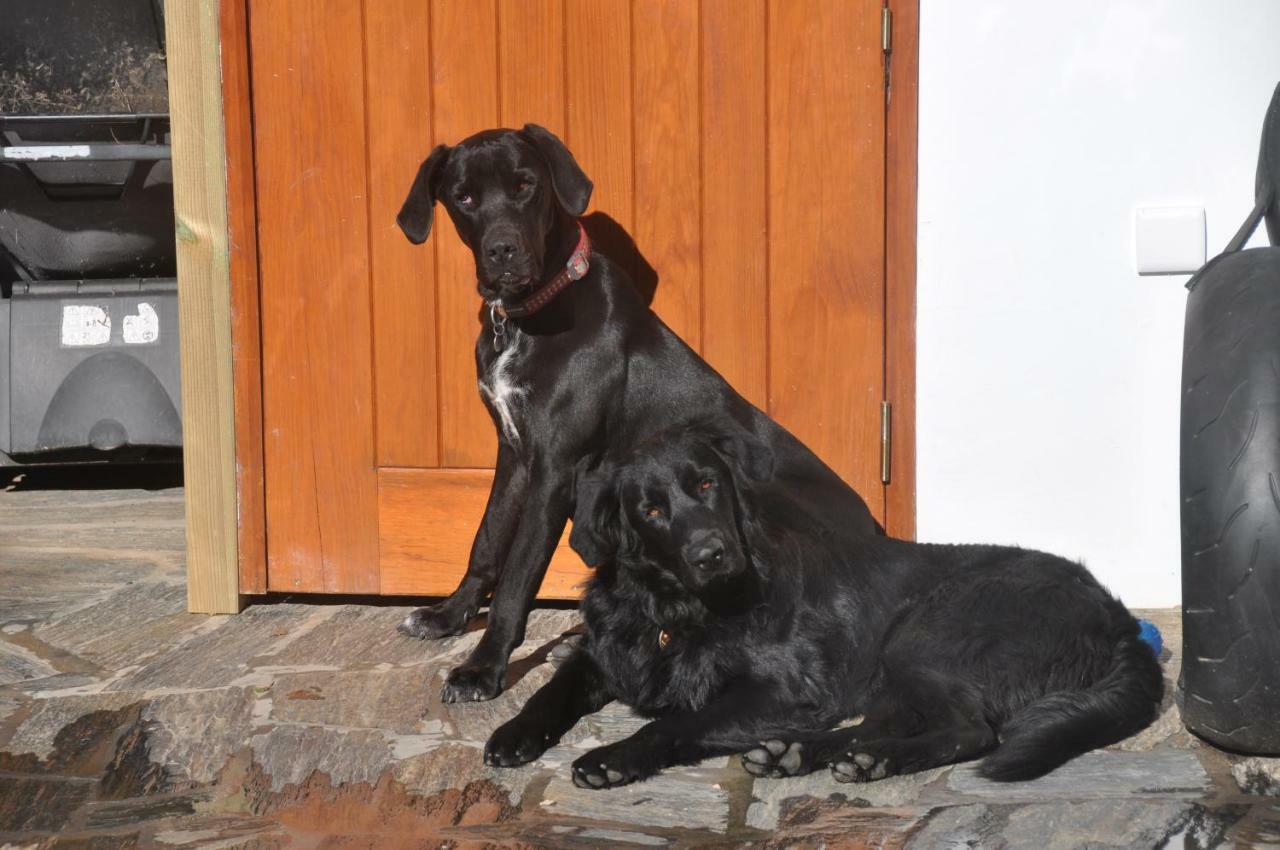 Quinta Do Bom Vento Pensionat Óbidos Exteriör bild